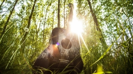 阳光照耀下的绿草吉他壁纸