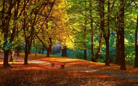 高清晰唯美公园秋季壁纸下载