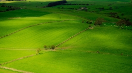 高清晰英格兰绿色草坪景观