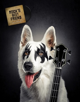 最好的摇滚朋友-Special Dog特种犬平面广告