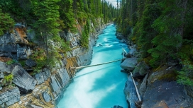 加拿大林岩水族河