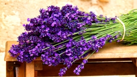 神奇的魔法紫花束