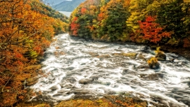 高清晰多彩秋季河流壁纸