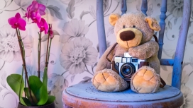 可爱的熊宝宝与照相机