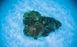 水下珊瑚岛屿