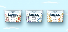 冰岛Skyr一种与酸奶不同的培养乳制品