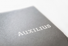 Auxilius维也纳税务品牌设计