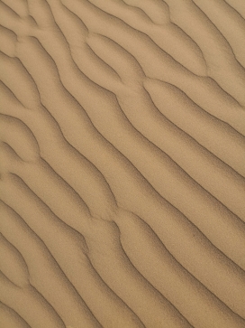 高清晰波浪线沙漠壁纸