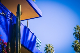 高清晰蓝色阳台户外仙人掌壁纸