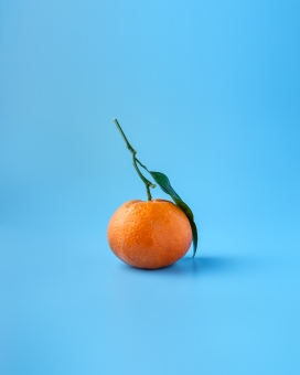 带梗叶的橘子