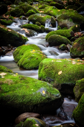 绿色苔藓石头的小溪