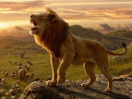 山丘上的狮子王