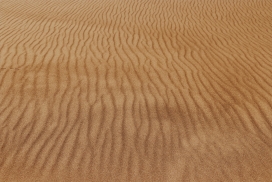雨后的沙漠