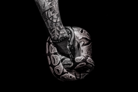 缠在纹身手上的蟒蛇