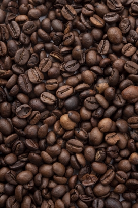 咖啡豆写真图