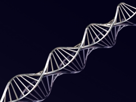 质感的金属DNA排序双螺旋图