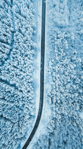 冬季被雪覆盖的森林公路