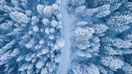 高空俯拍的冬季森林路