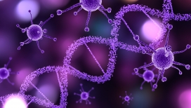 紫色DNA螺旋写真