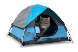 和猫一起露营的迷你帐篷