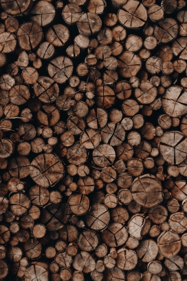 排放整齐的圆形木材木头