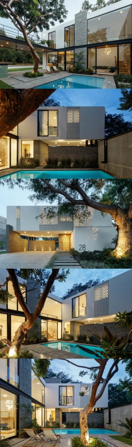 墨西哥342平米带纸树庭院的豪华家庭住宅别墅