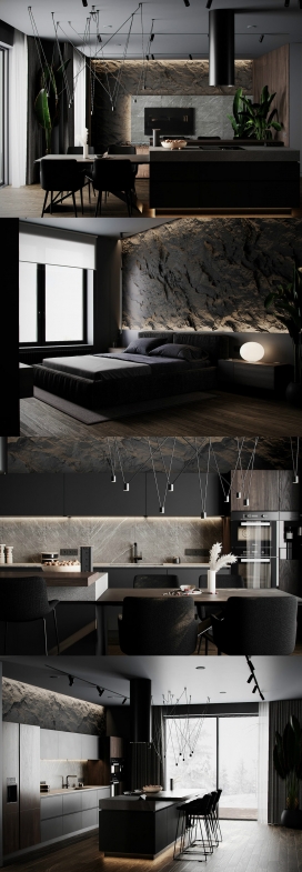 具有坚固岩石特色和豪华照明的土褐色黑色装饰公寓室内设计