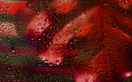 红色花纹玻璃前的水滴