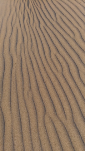 柔绵的沙漠
