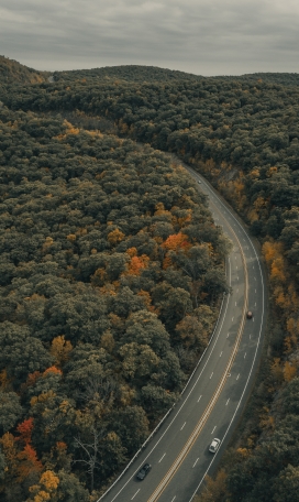 秋季的森林马路图