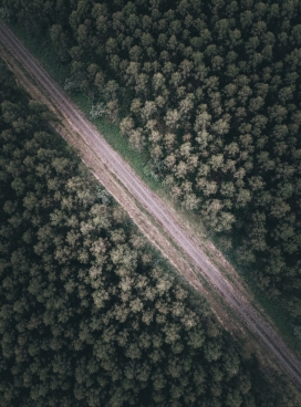 俯拍的森林公路