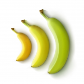逼真的三个香蕉图