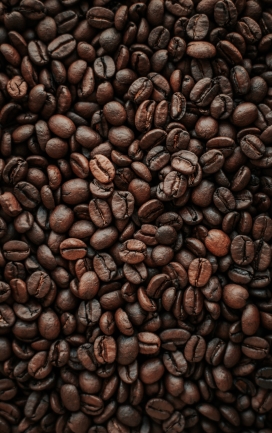黑色咖啡豆图片