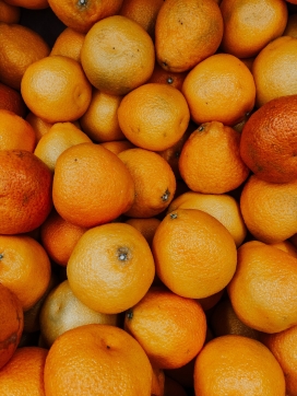 冬季脐橙水果图片