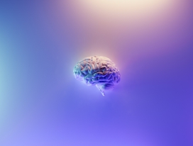 蓝紫色人体大脑脑髓图片