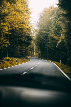 森林秋季公路图片