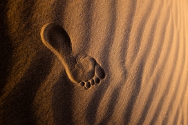 沙漠的脚印