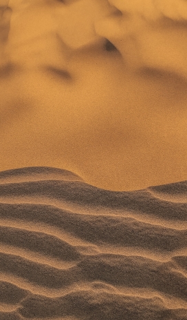 细细的黄色沙漠沙丘