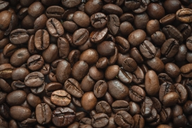 大小不同的咖啡豆