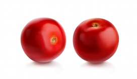 新鲜红色的西红柿素材下载