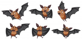 卡通可爱的蝙蝠宠物图