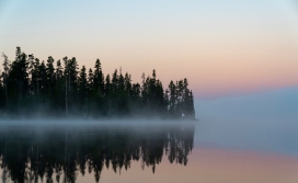 早晨雾气中的森林湖泊