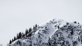 冬季被山丘树覆盖的雪山