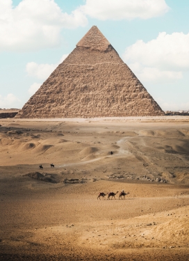 金子塔下的骆驼群