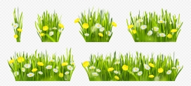 春意盎然绿草如茵的花草