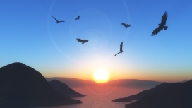 唯美日落湖飞翔的群鸟