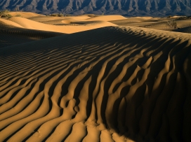 层叠起伏的金色沙漠沙丘地貌风景图片