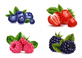 逼真的草莓蓝莓桑葚水果素材
