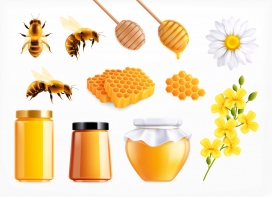 卡通蜂蜜蜜蜂蜂巢素材