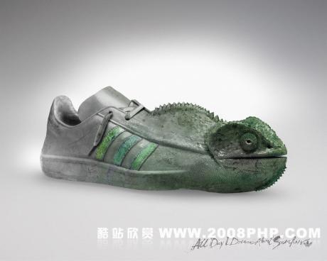 〓 Adidas:08最新创意运动鞋幻想设计图片欣赏